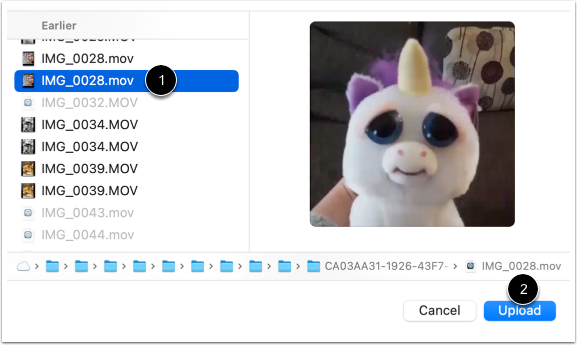Upload File
