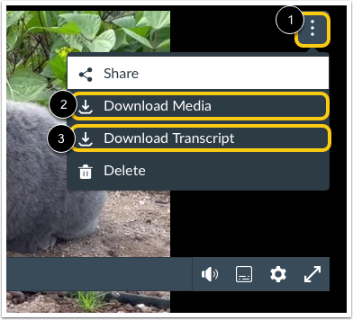 Download media or transcript file