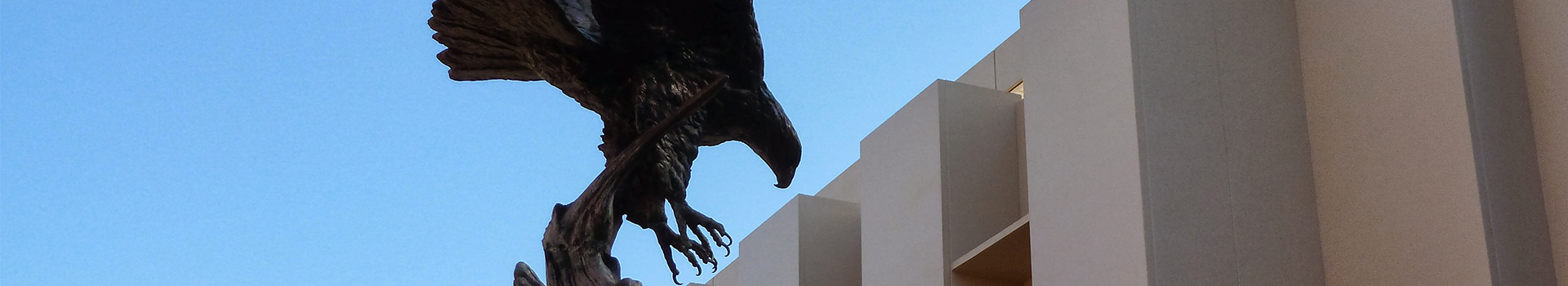 Golden Eagle