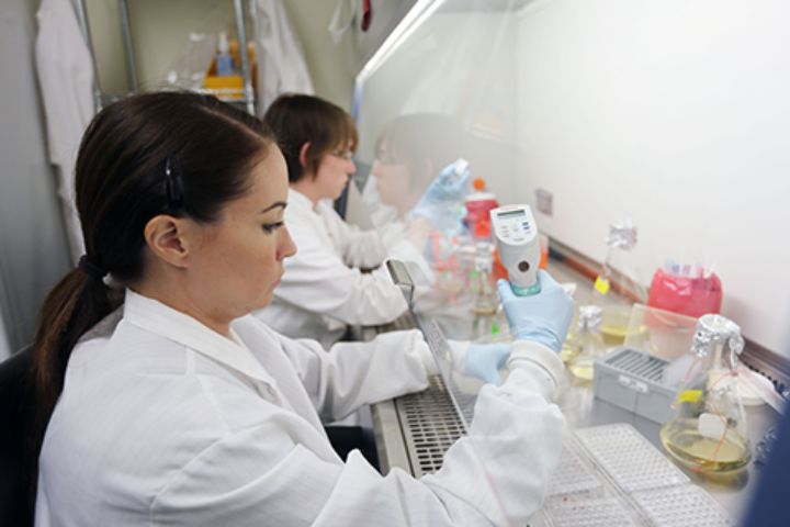 two researches experimenting in a lab