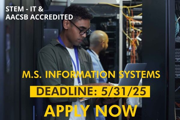 MS Information system