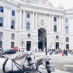 Vienna