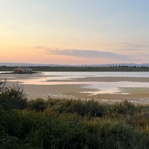 coast