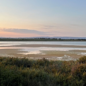 coast