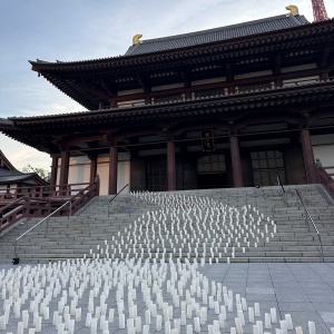 light festival tokyo