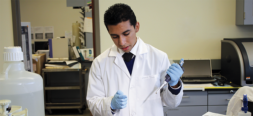 Biolab Incubator Project
